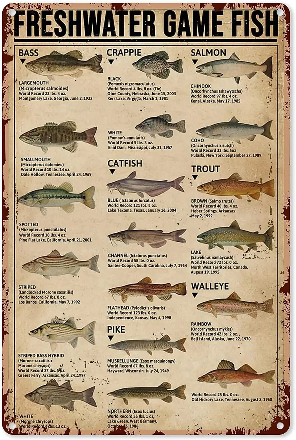 Fishing Art Posters Metal Sign – обзор и цена Home Decor Games Free