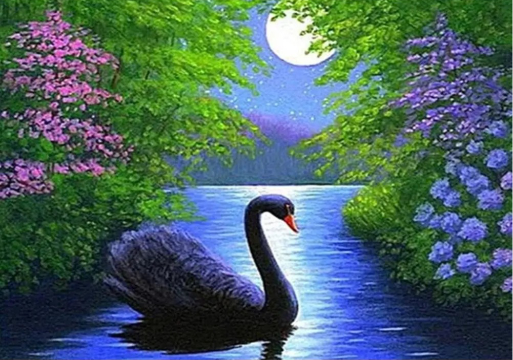 1000/500 PCS Jigsaw Black Swan – обзор и цена Home Decor Under 500
