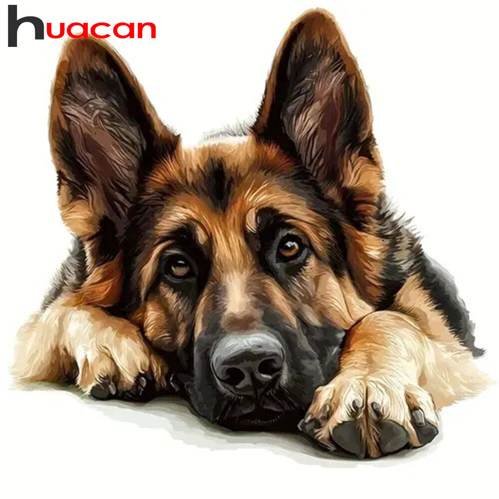 Huacan Diamond Painting German – обзор и цена Germany Home Decor