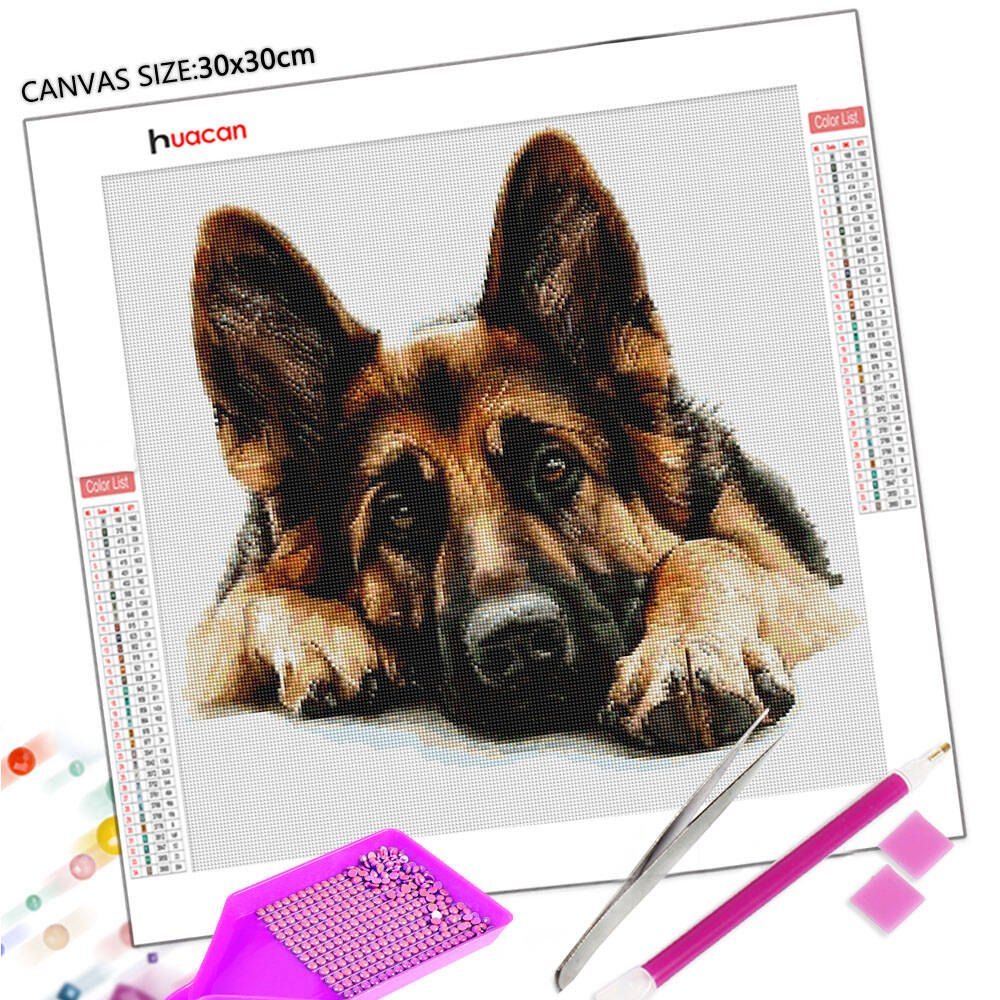 Huacan Diamond Painting German – обзор и цена Germany Home Decor