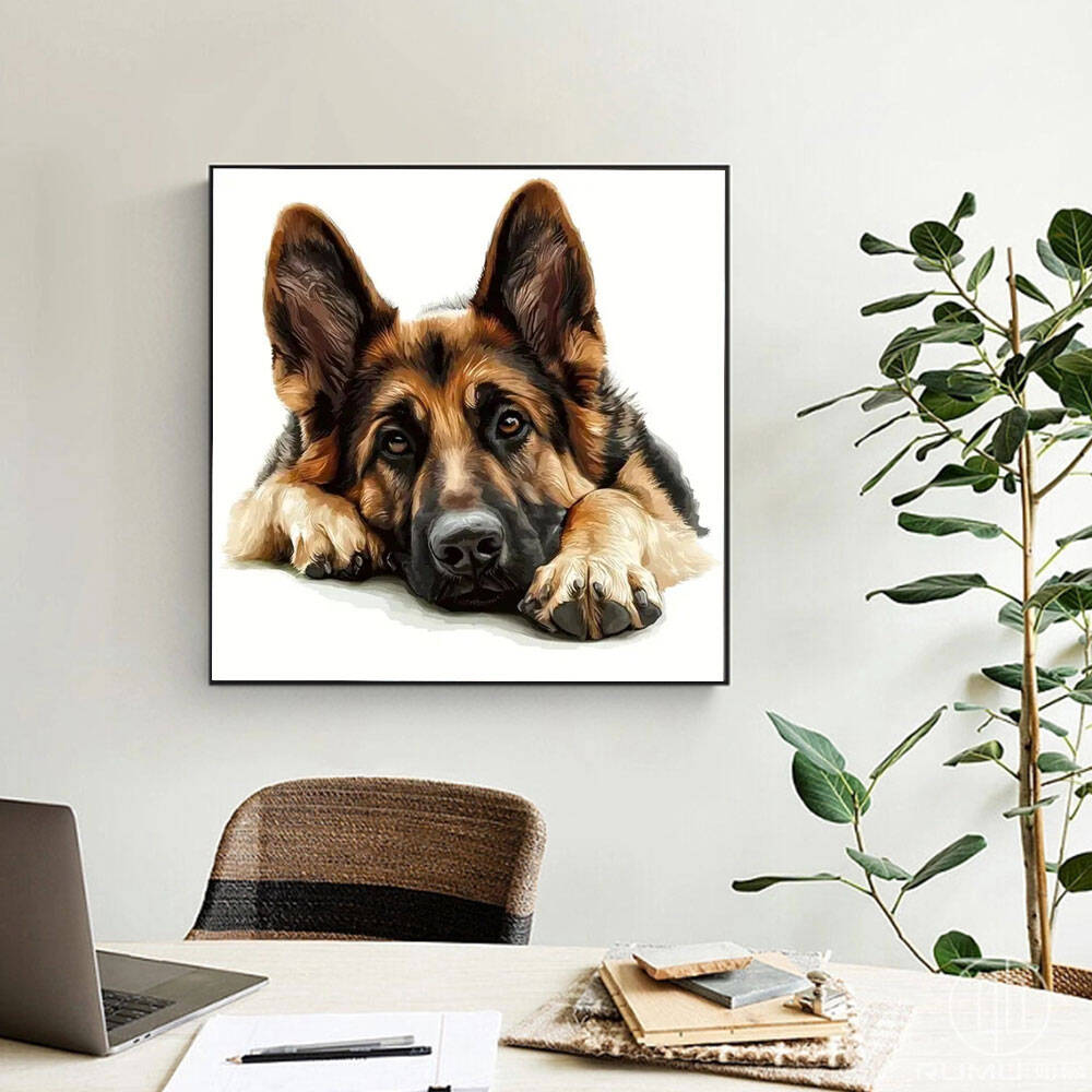 Huacan Diamond Painting German – обзор и цена Germany Home Decor