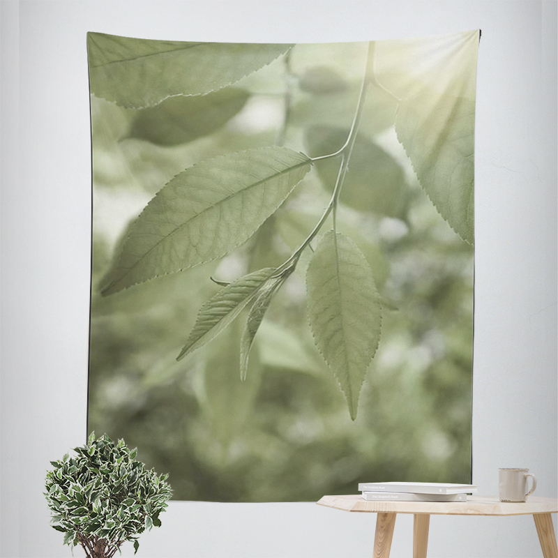 Home decorations room decor wa – обзор и цена Home Decor Y2K